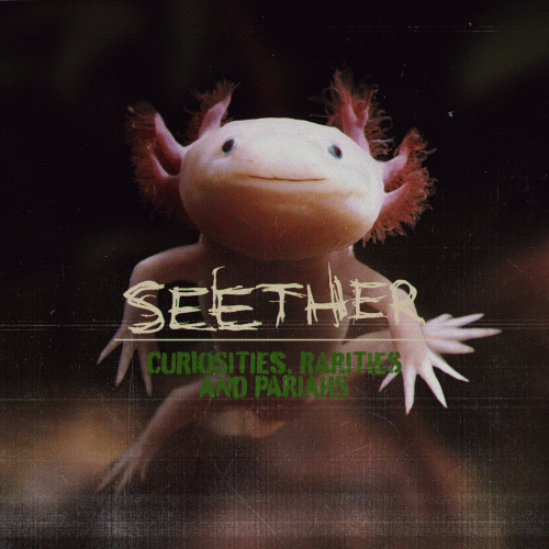 Seether : Curiosities, Rarities and Pariahs